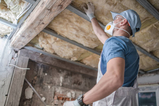Best Spray Foam Insulation in Rpinteria, CA