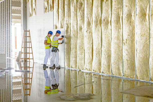 Types of Insulation We Offer in Carpinteria, CA